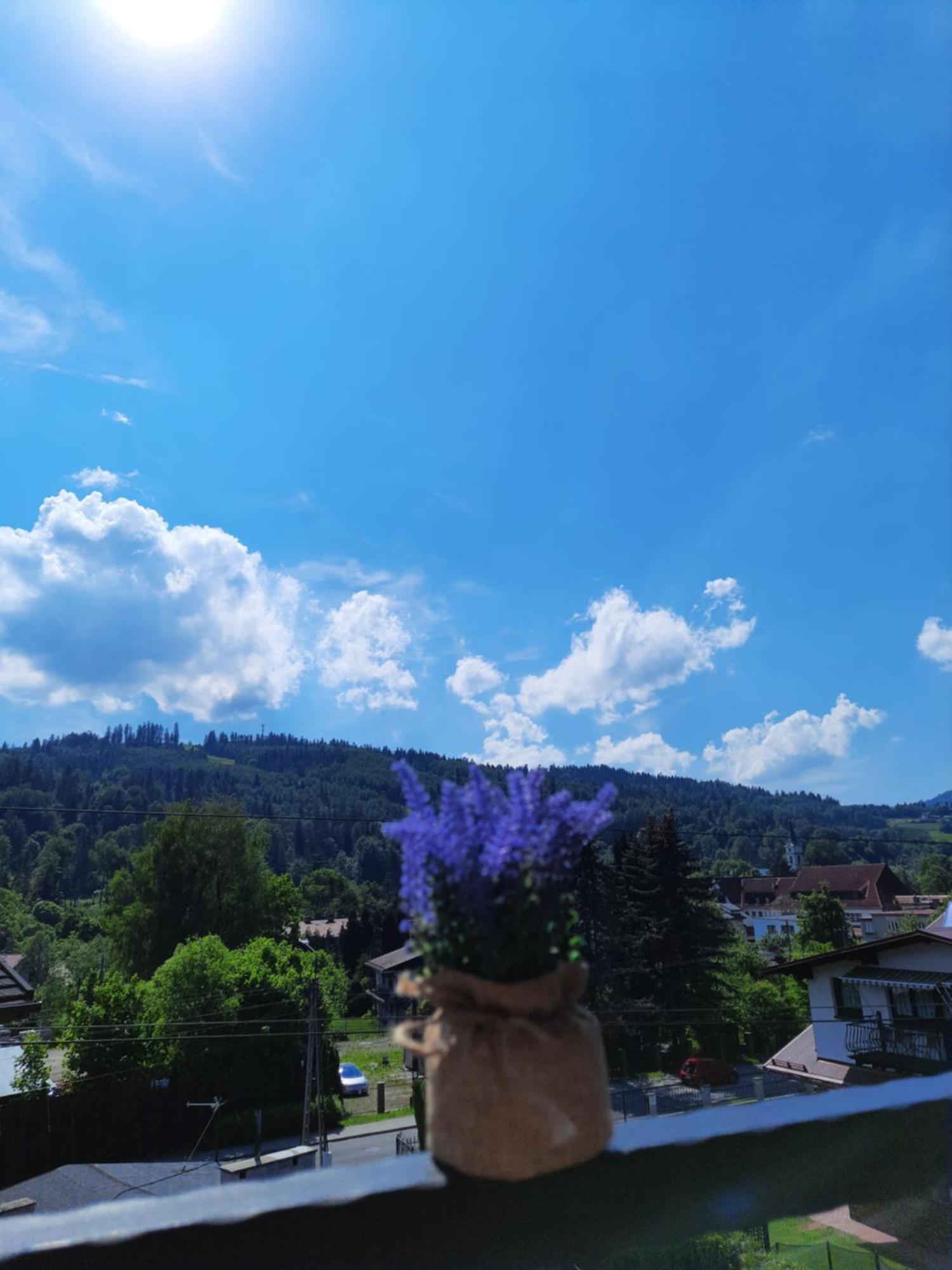 Apartamenty Pokoje Lawenda Висла Экстерьер фото